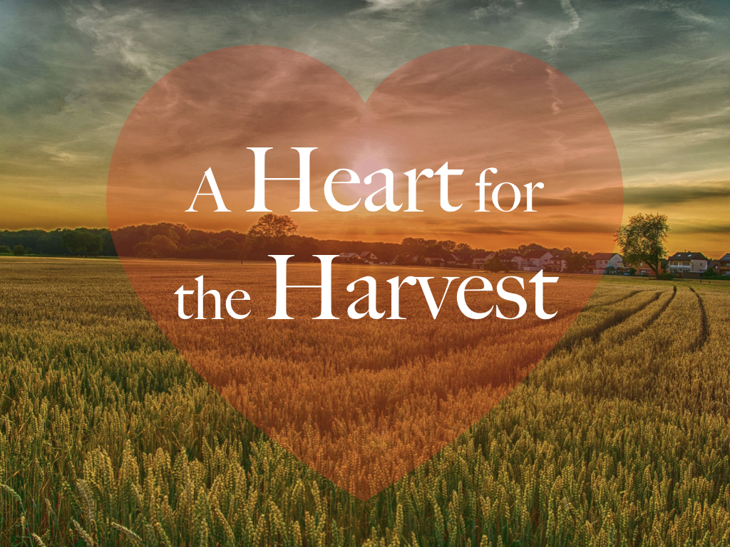 A Heart for the Harvest