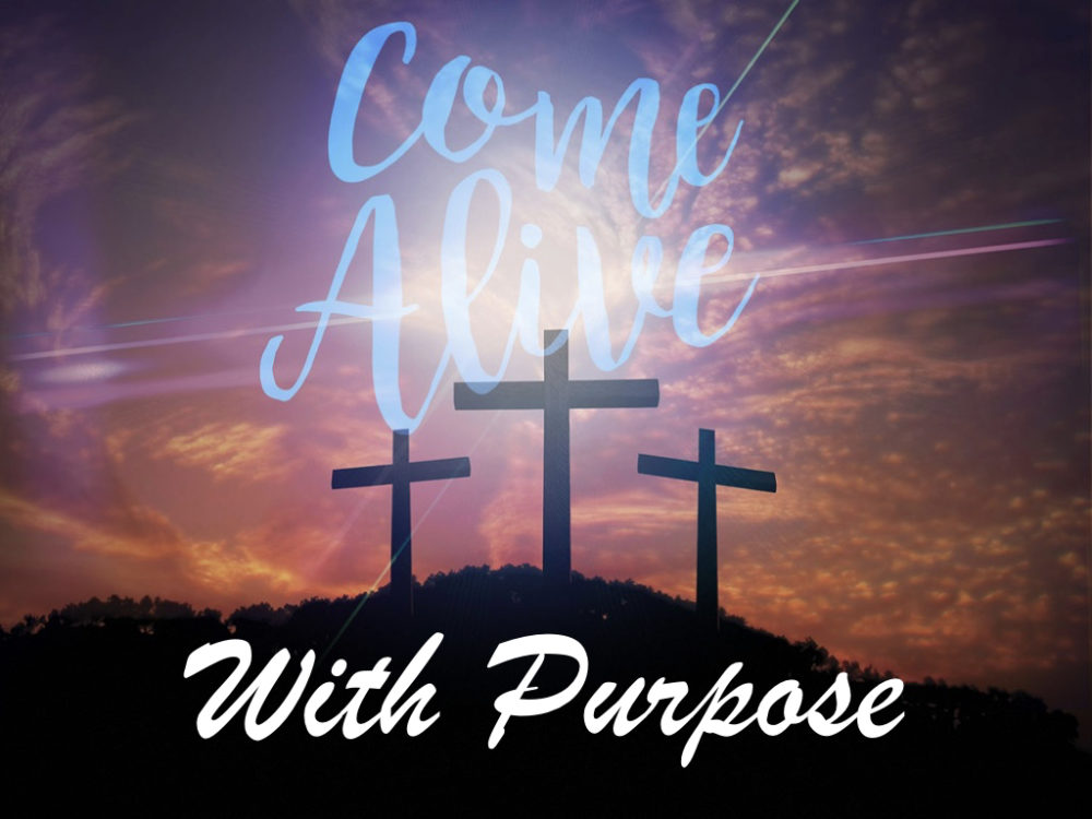 Come Alive with Purpose